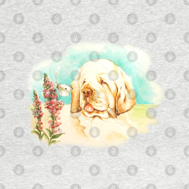 Clumber Spaniel, Watercolour painting. by chepea2